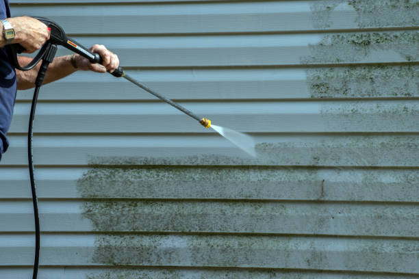 Best Concrete Surface Cleaning in Kirby, TX